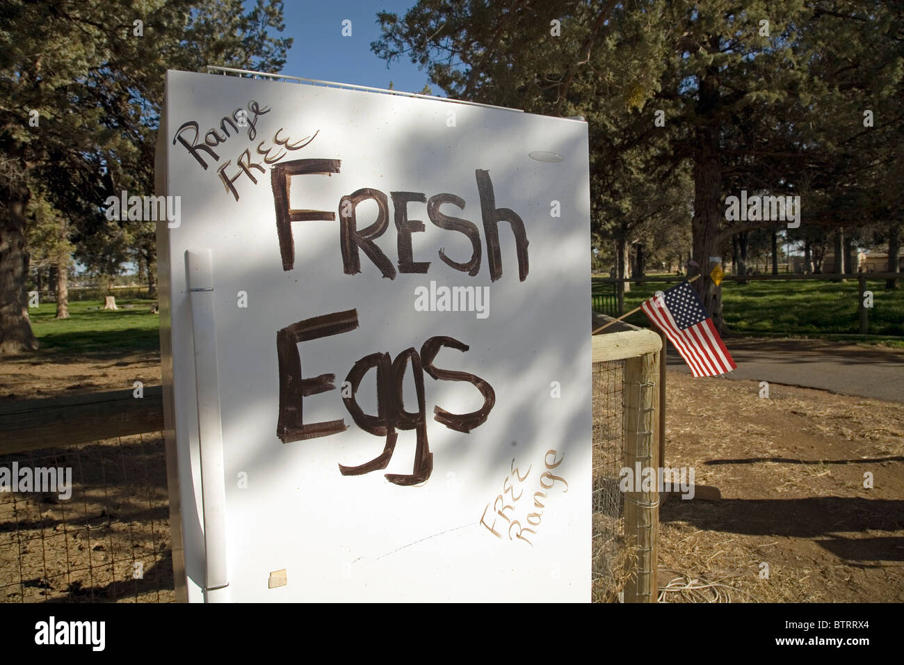 An old refrigerator holds fresh, free range, organic chicken eggs, with an  American flag in the background Stock Photo - Alamy