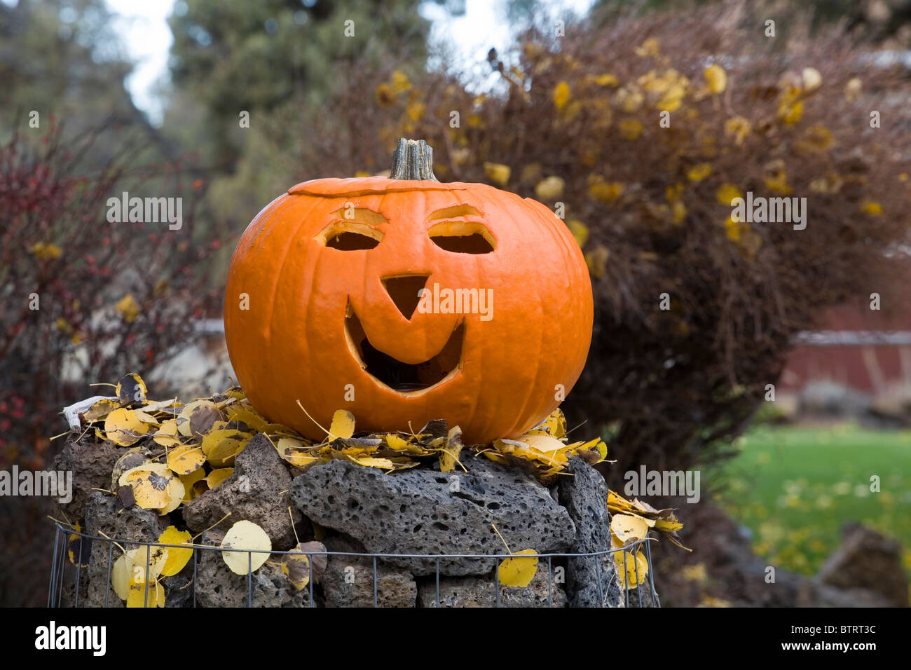 A pumpkin that has been carved for Halloween Stock Photo - Alamy