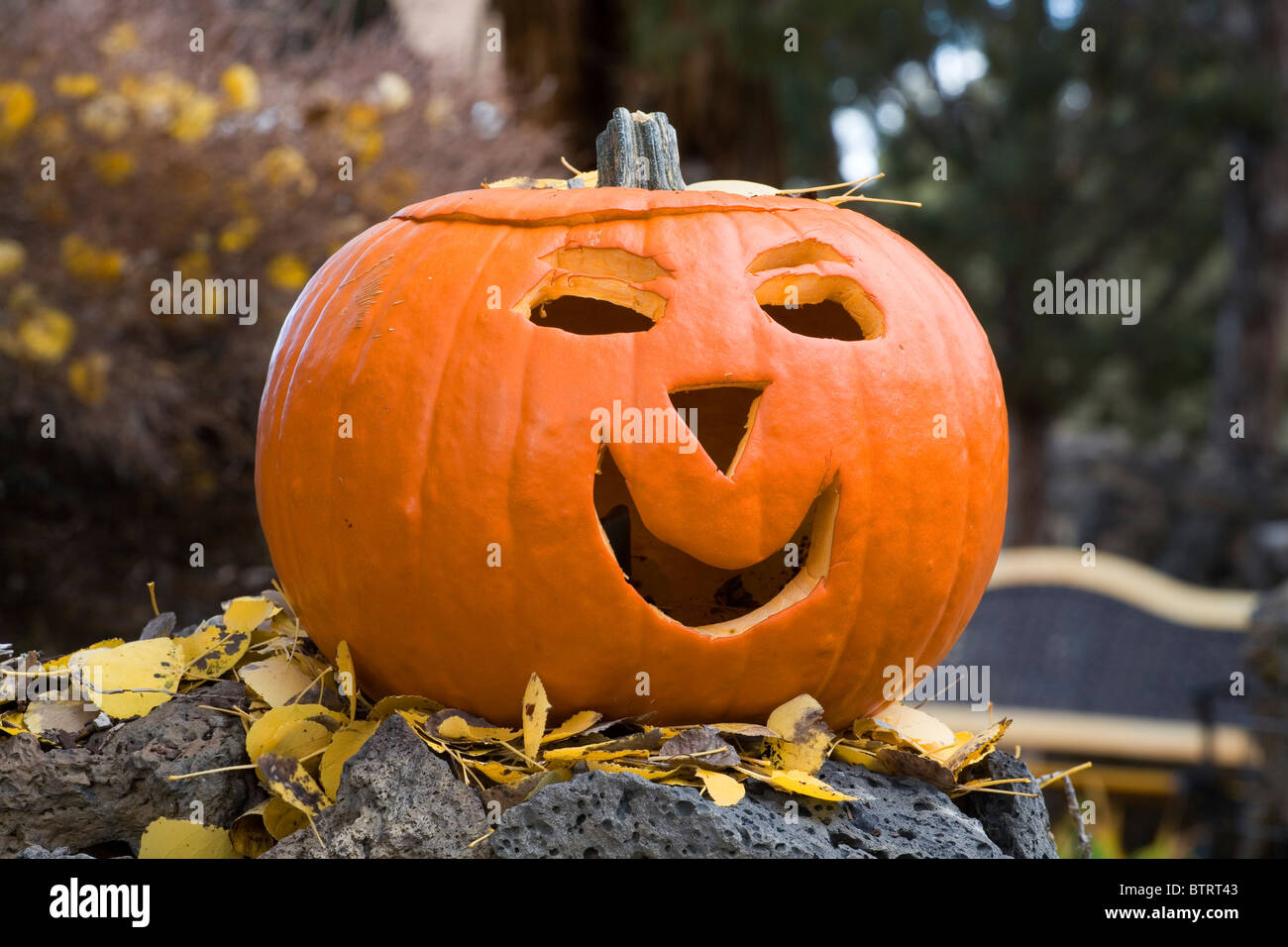 A Pumpkin That Has Been Carved For Halloween Stock Photo - Alamy