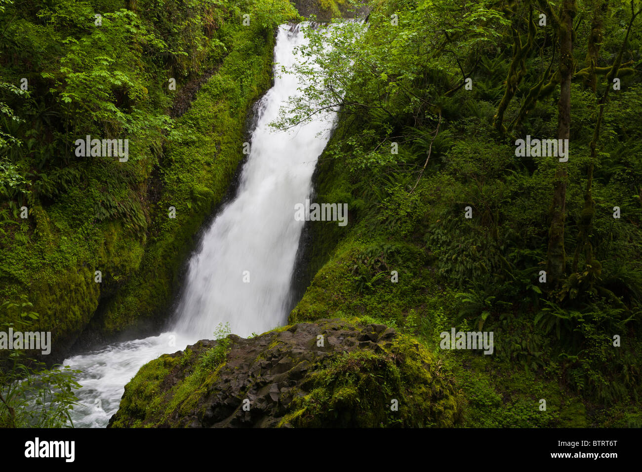 Bridal Veil Falls In The Columbia River Gorge National Scenic Area Stock Photo Alamy Bridal Veil Falls In The Columbia River Gorge National Scenic Area Stock Photo Alamy