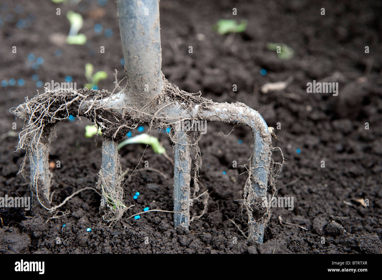 Garden fork in soil Stock Photo Alamy