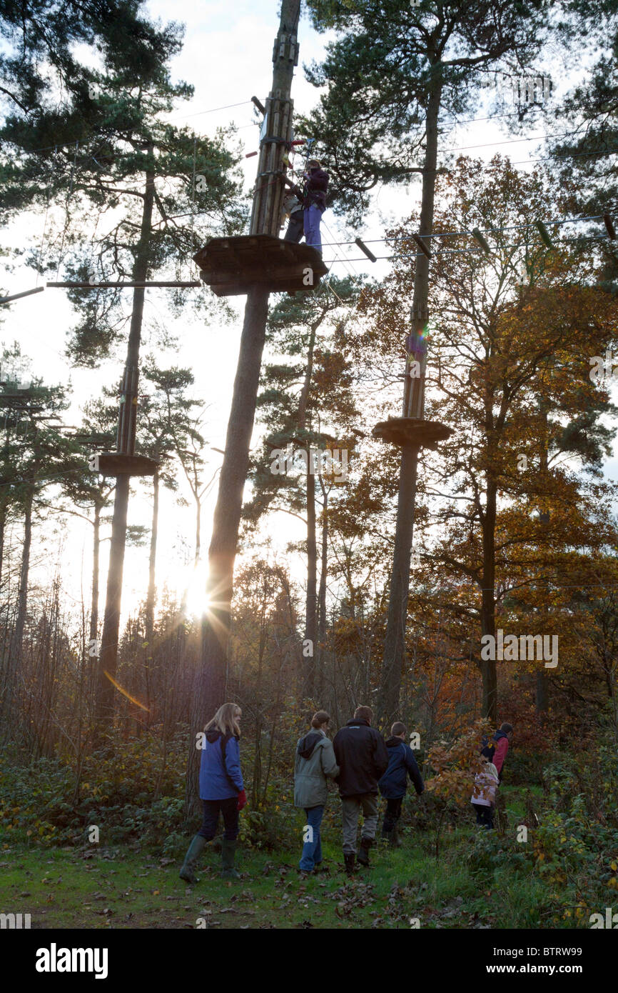 Go Ape Outdoor Pursuits Course - Wendover Woods - Buckinghamshire. Stock Photo