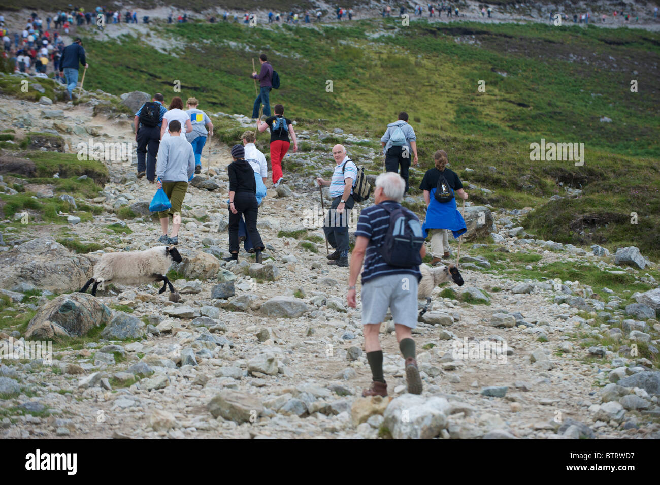 Climbing croagh patrick hires stock photography and images Alamy