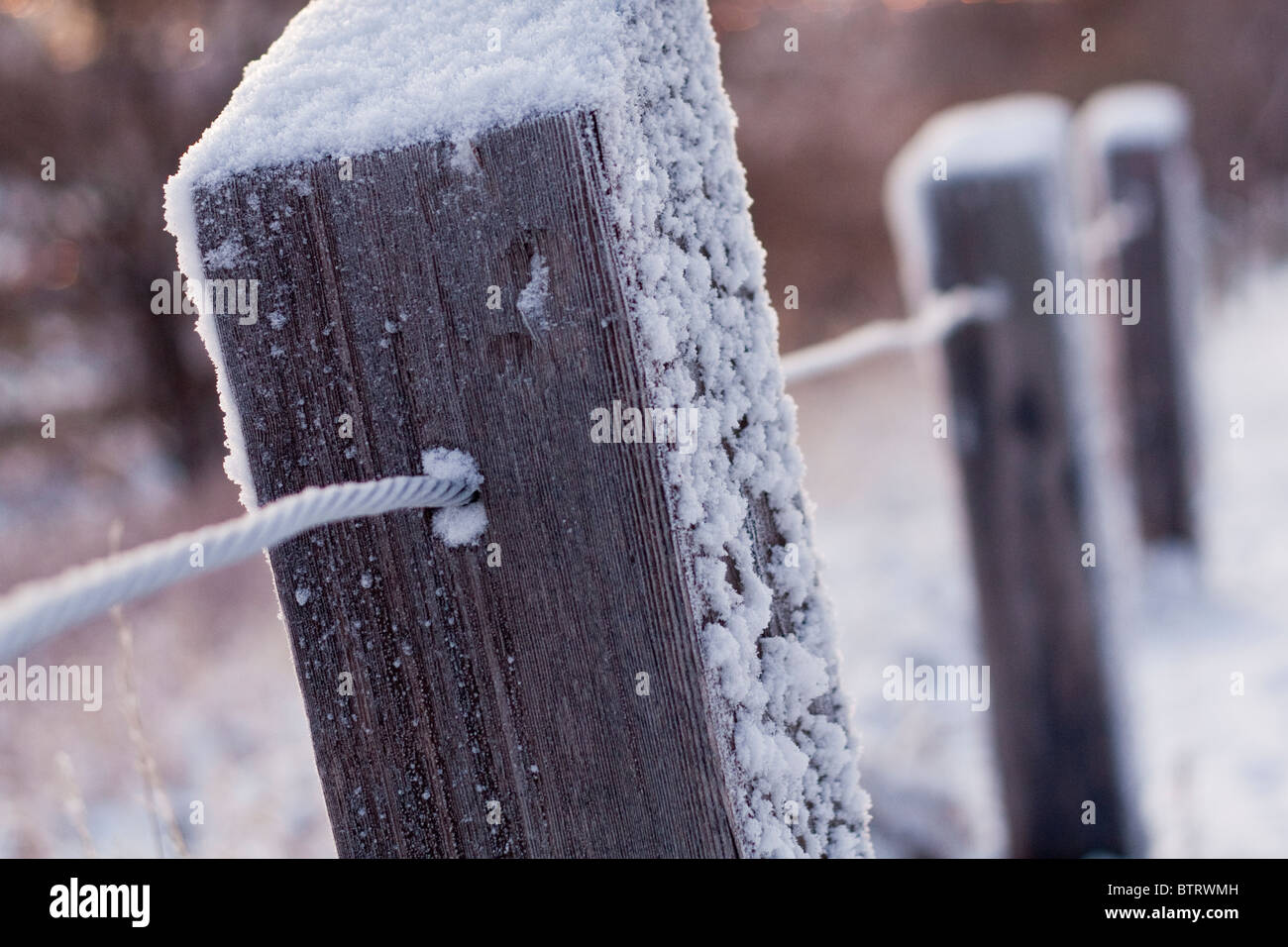 Frost covered fence on a Canadian winter morning Stock Photo - Alamy