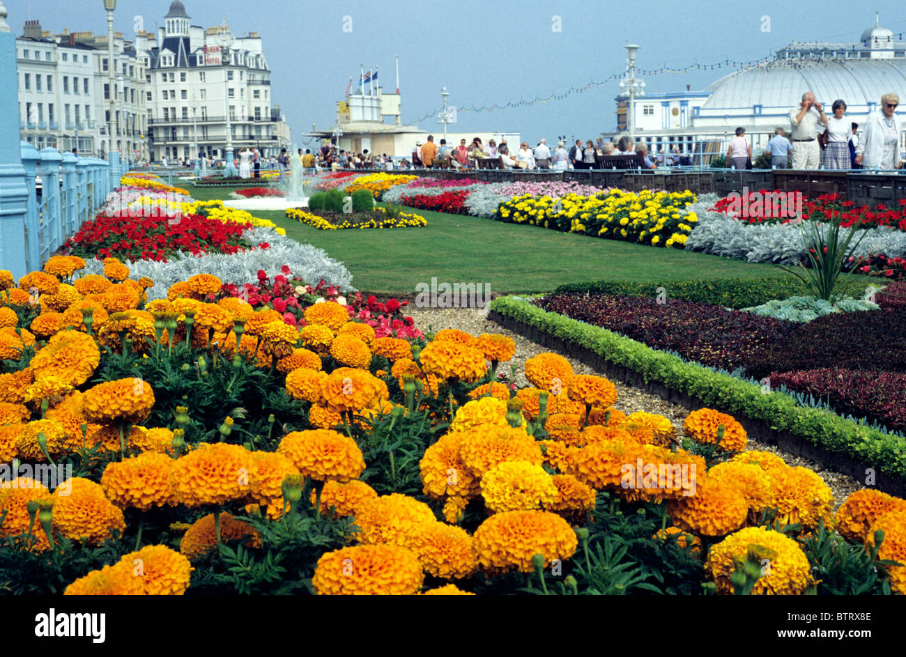Eastbourne Sussex, seafront flower gardens, pier flowers garden couth