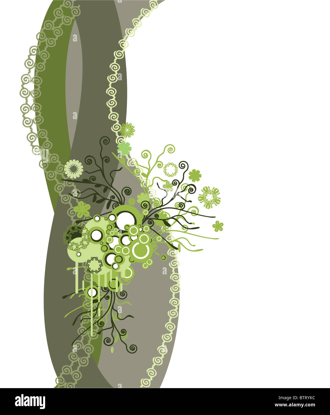 Abstract floral background ; green floral frame Stock Photo - Alamy