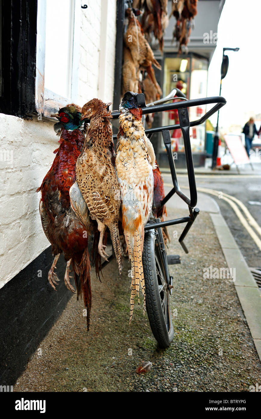 Ludlow - pheasants outside D W Wall butchers Stock Photo
