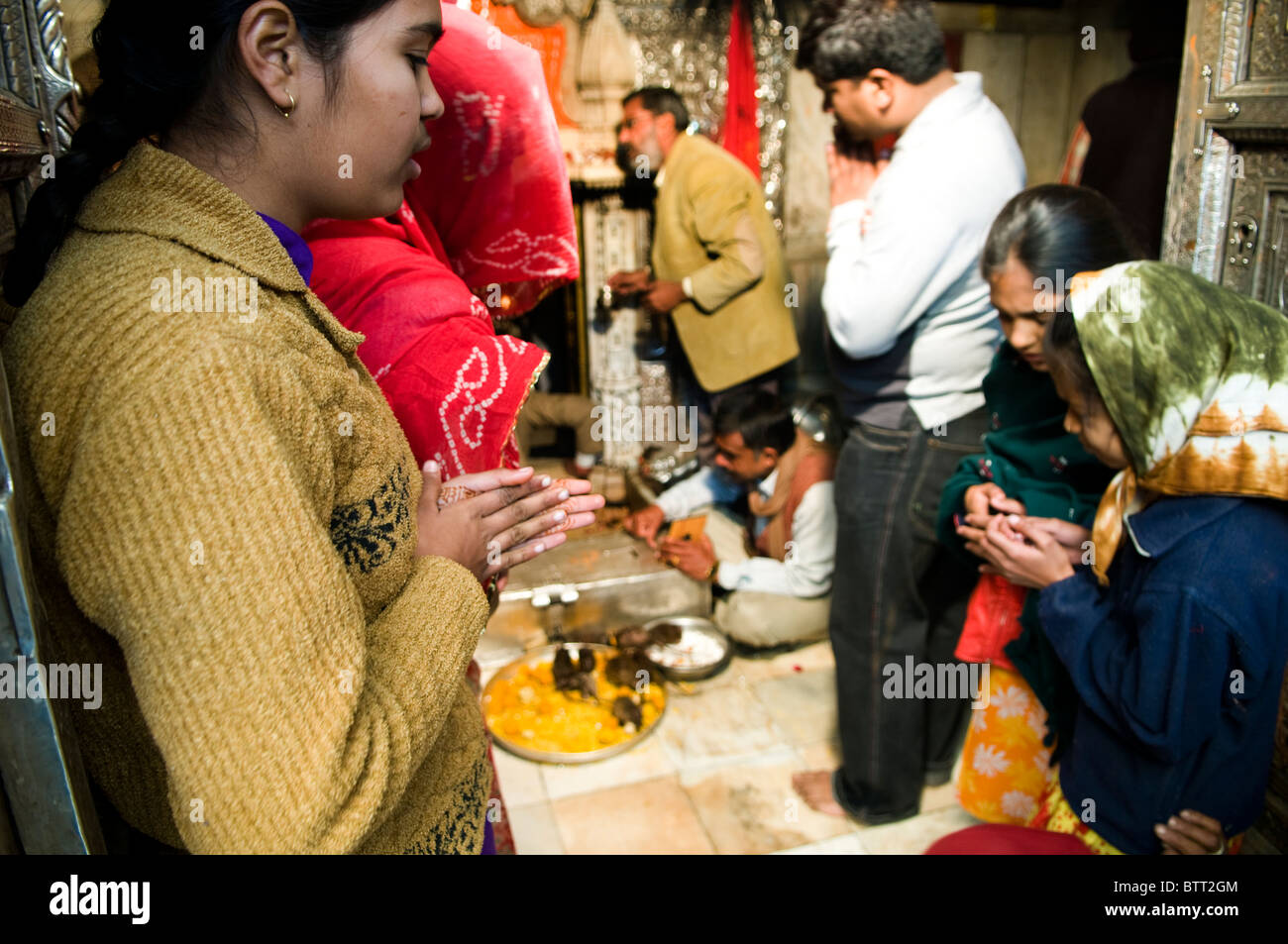 A Hindu puja with Rats at the bizarre Karni Mata Rat temple in Deshnok ...