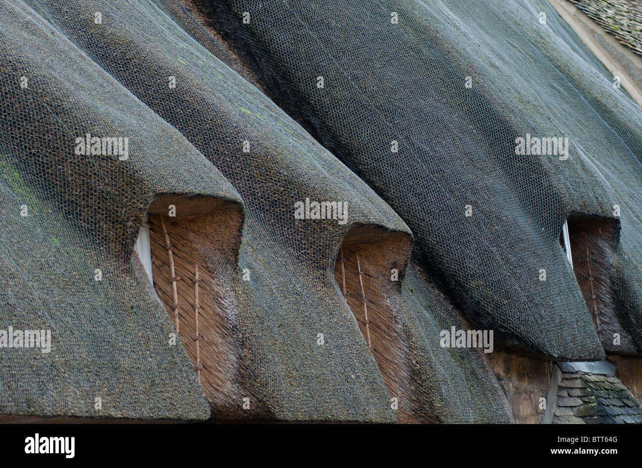 Closeup detail of thatched cottages in Broadway, Cotswolds, UK Stock Photo