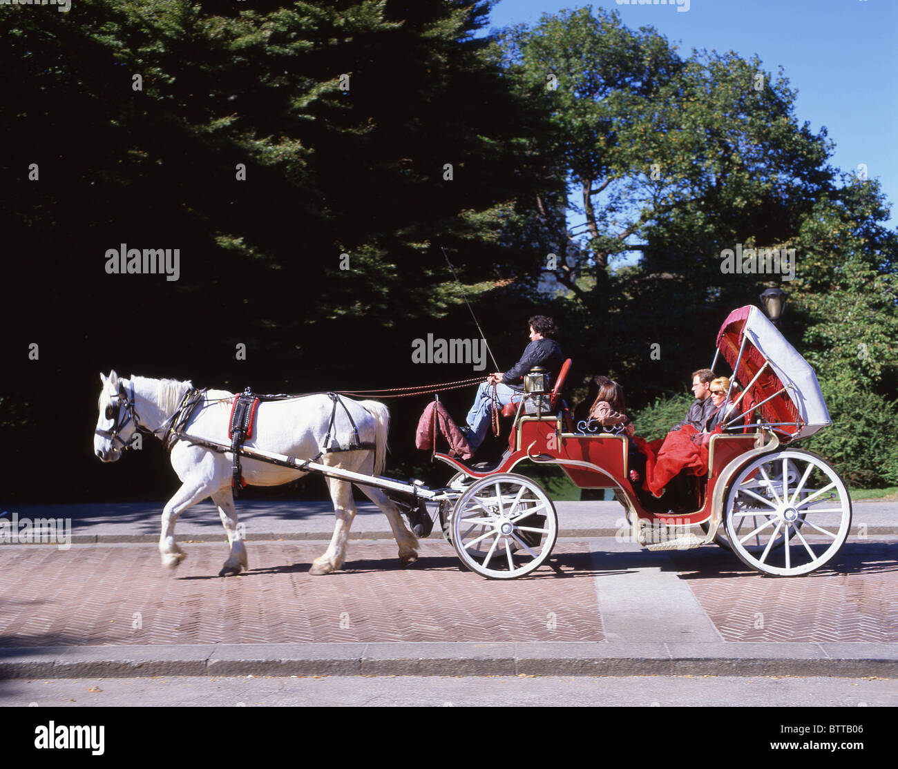 Horse carriage, Central Park, Manhattan, New York, New York State, United States of America Stock Photo