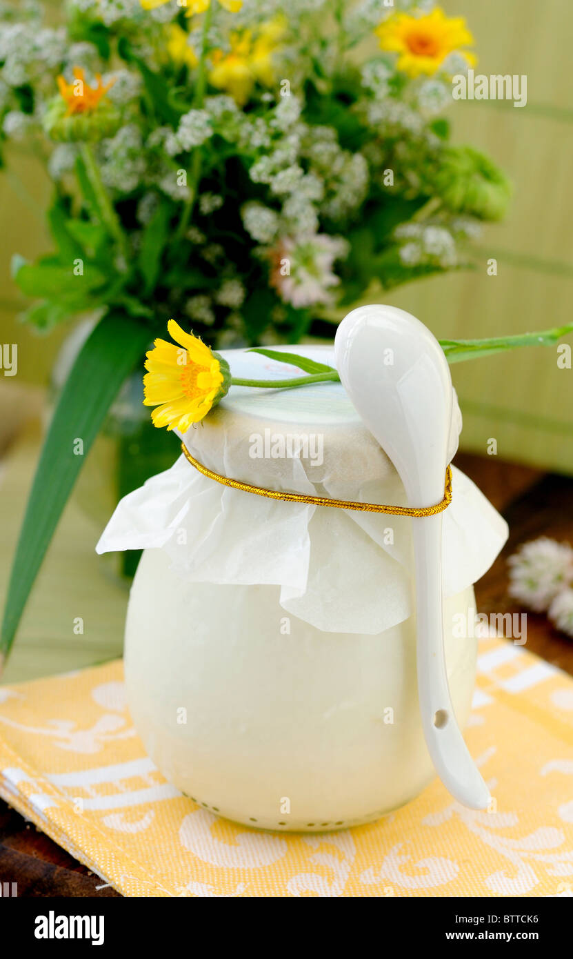 Dairy product Stock Photo