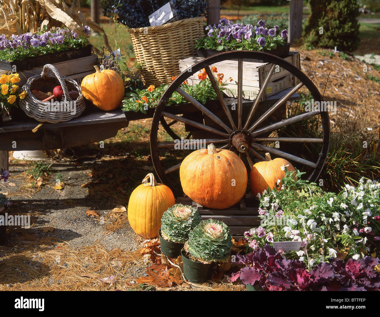 Roadside Halloween display near Peterborough, New Hampshire, United