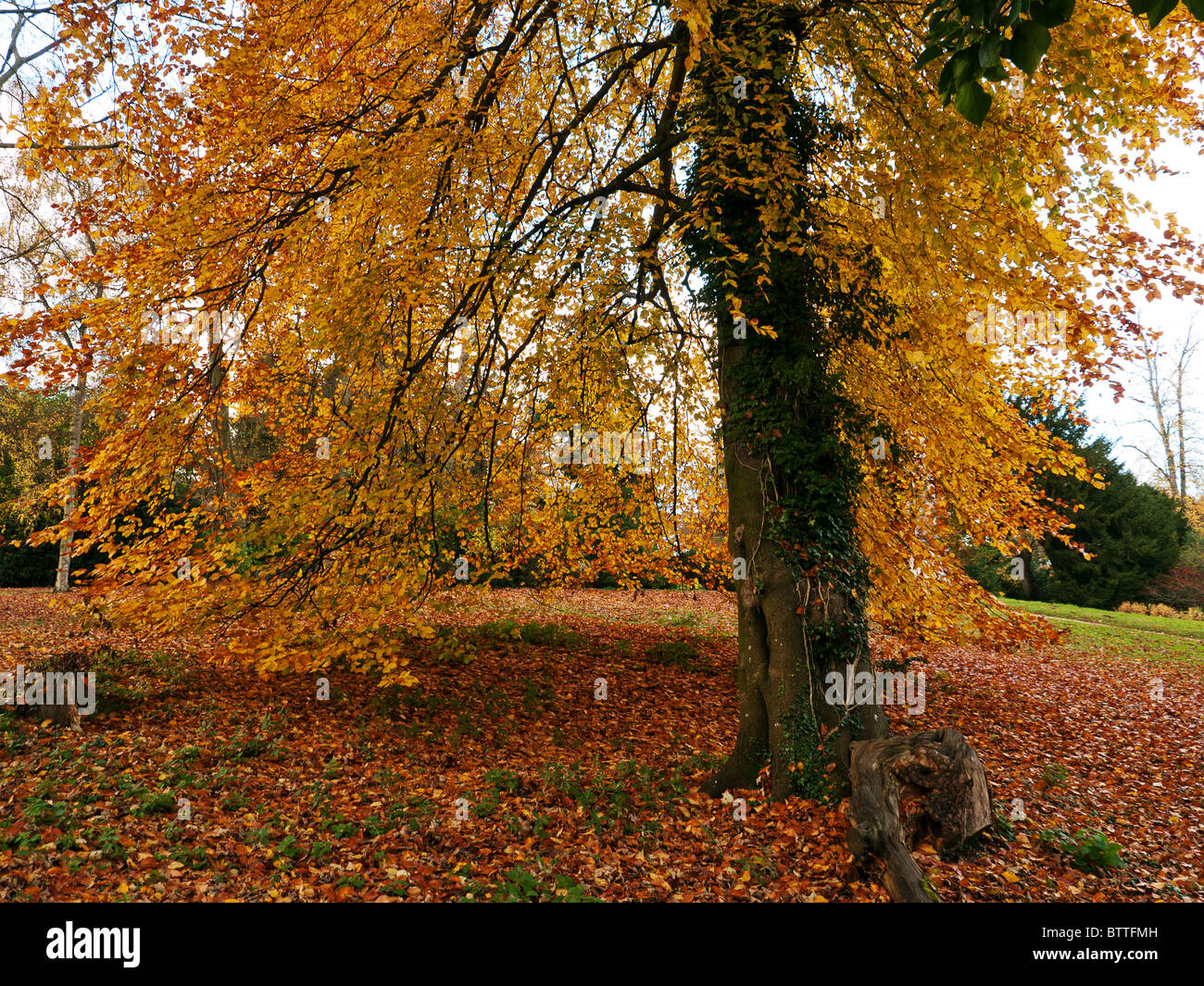 Lord Cobham Stowe Hi res Stock Photography And Images Alamy lord-cobham-stowe-hi-res-stock-photography-and-images-alamy