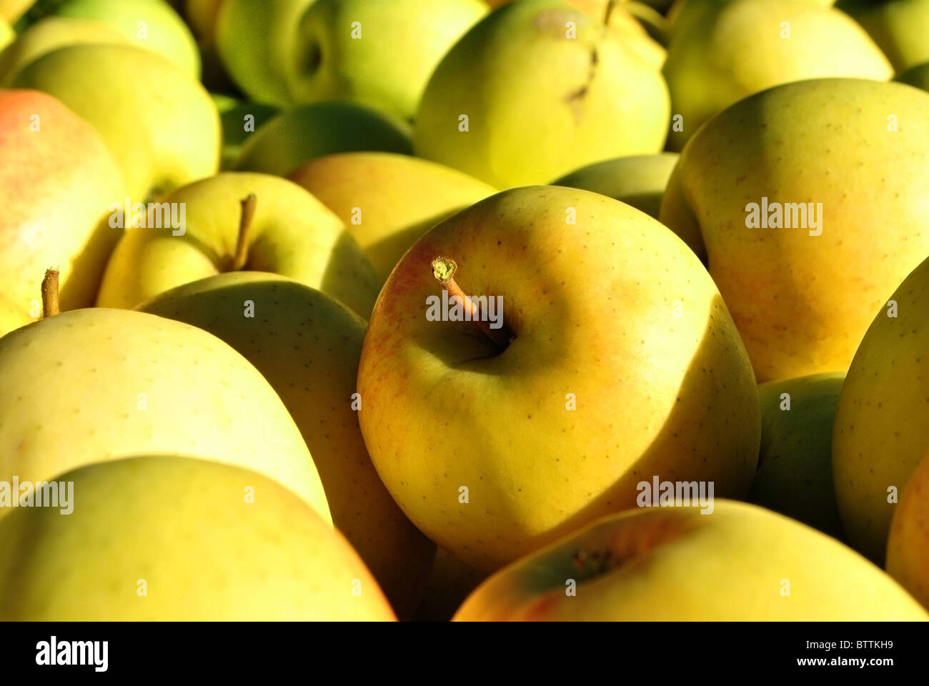 texture yellow apples Stock Photo - Alamy