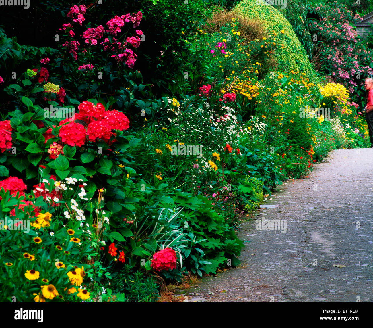 Illnacullen, Co Cork, Ireland, Herbaceous Border In A Walled Garden During Summer Stock Photo