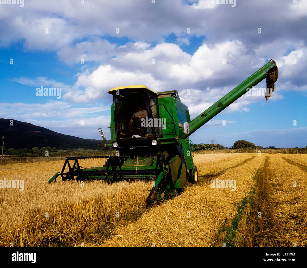 Combine Harvester In A Barley Field; Harvester In A Field Stock Photo