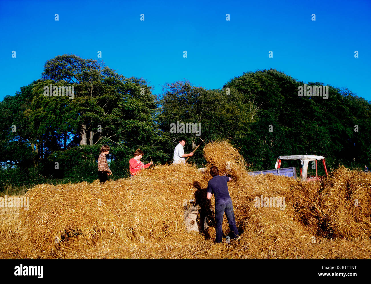 Straw Baling; People Working On A Farm Stock Photo