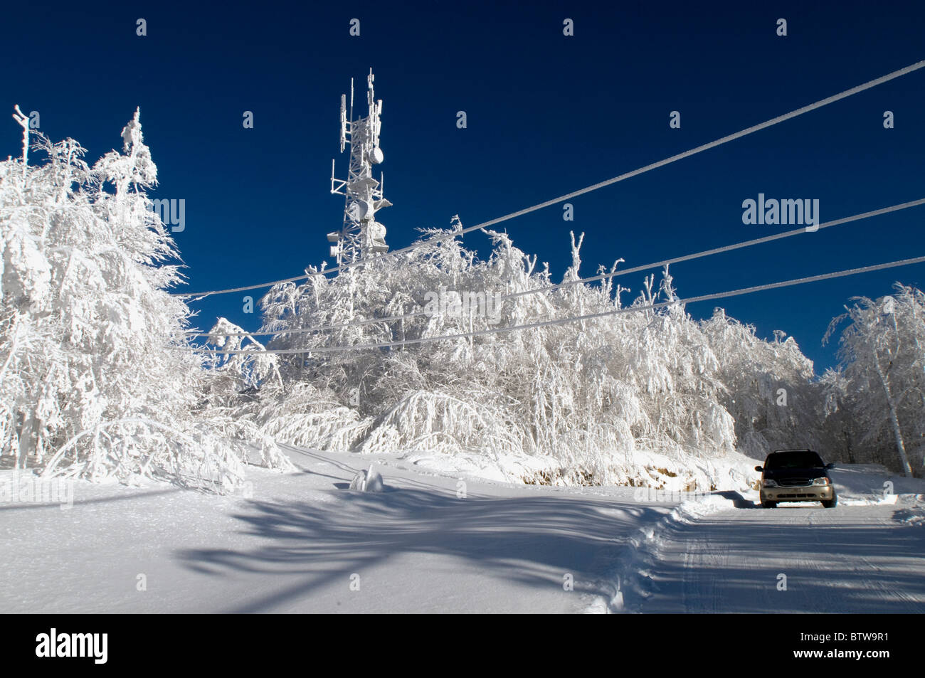 Aftermath of an ice-storm on Mount Shefford,Quebec. After a snowfall followed by freezing rain left an eerie landscape. Stock Photo