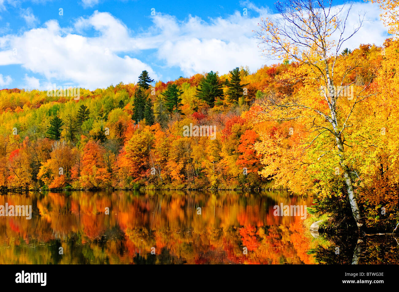 Autumn foliage along the shore of the Saint Louis River in Jay Cooke State Park. Stock Photo