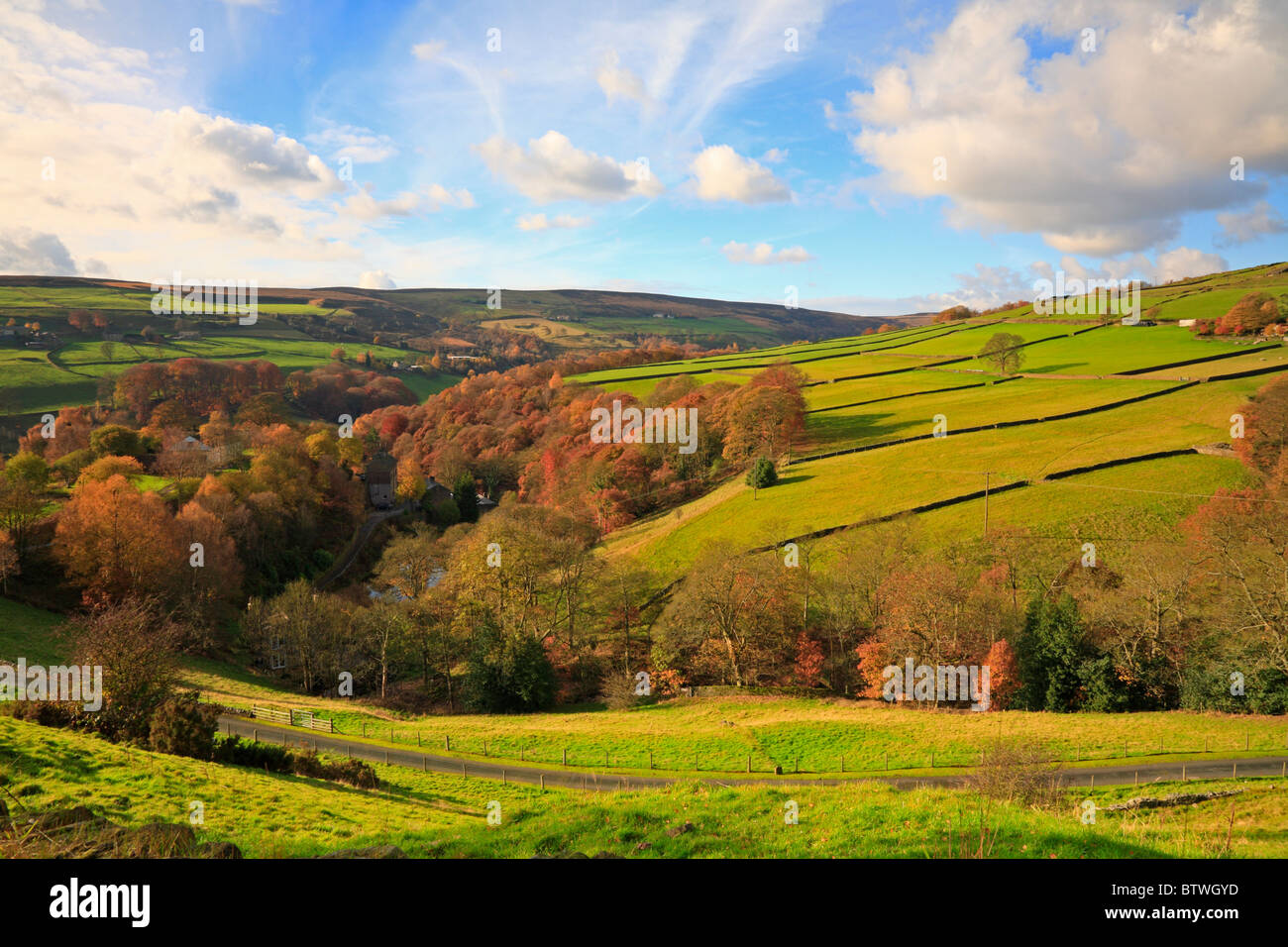 Wade Wood in Autumn, Luddenden Dean, Halifax, West Yorkshire, England
