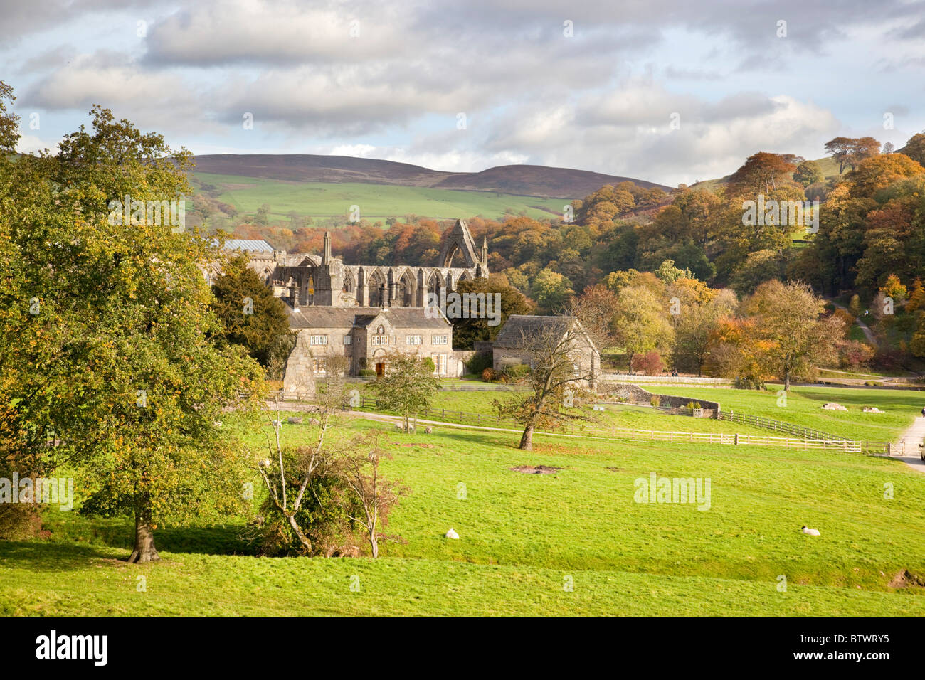 Bolton Abbey estate; Yorkshire Stock Photo Alamy