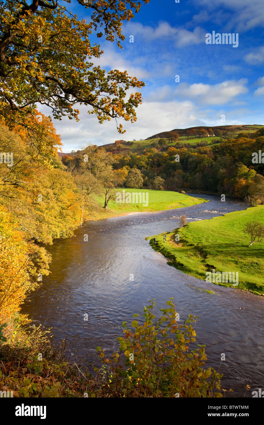Bolton Abbey Estate; river wharfe; Yorkshire Stock Photo Alamy