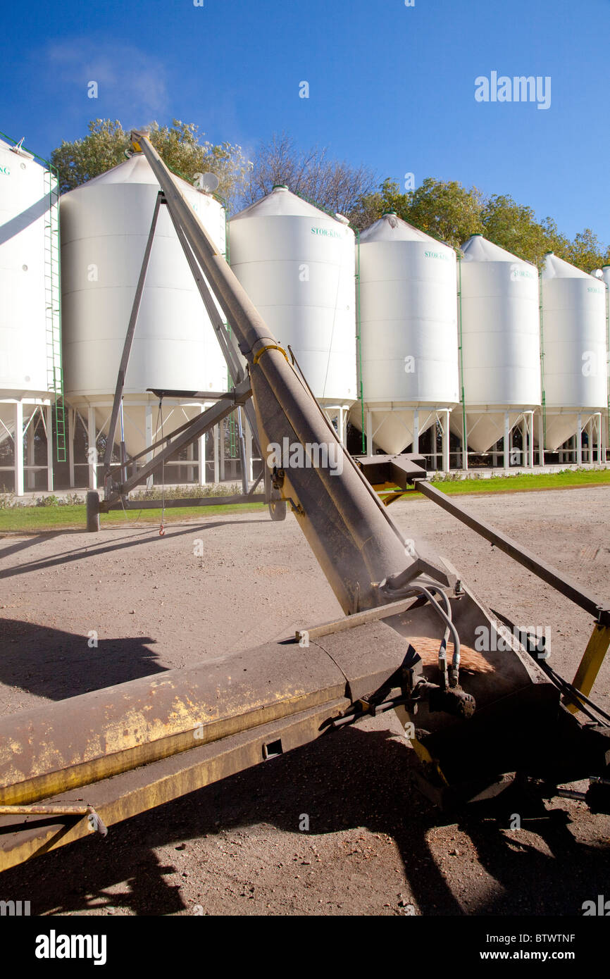 Hopper grain bins on the Froese farm near Winkler, Manitoba, Canada