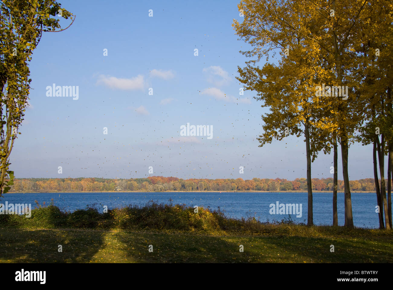 autumn at the river Havel Stock Photo