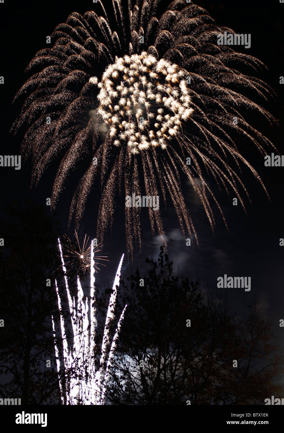 Fireworks display exploding against black sky at night, November 5th, UK Stock Photo