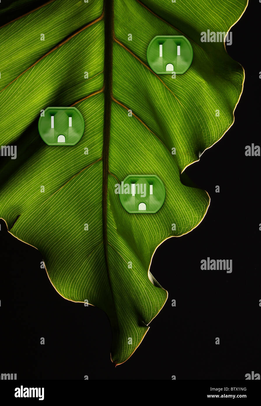 A green plant leaf with three electrical power outlets Stock Photo