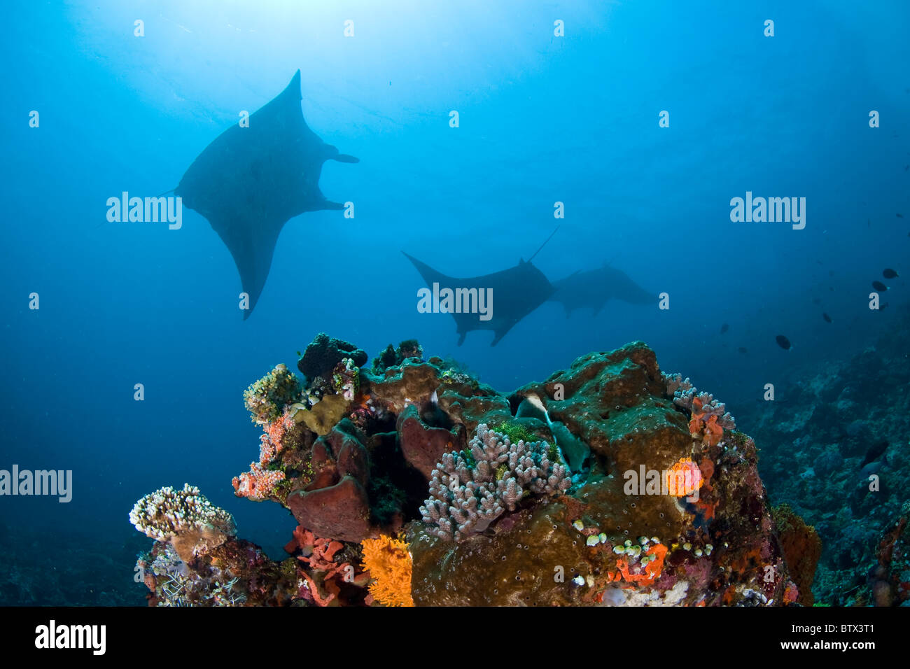 Tropical ocean currents hi-res stock photography and images - Alamy