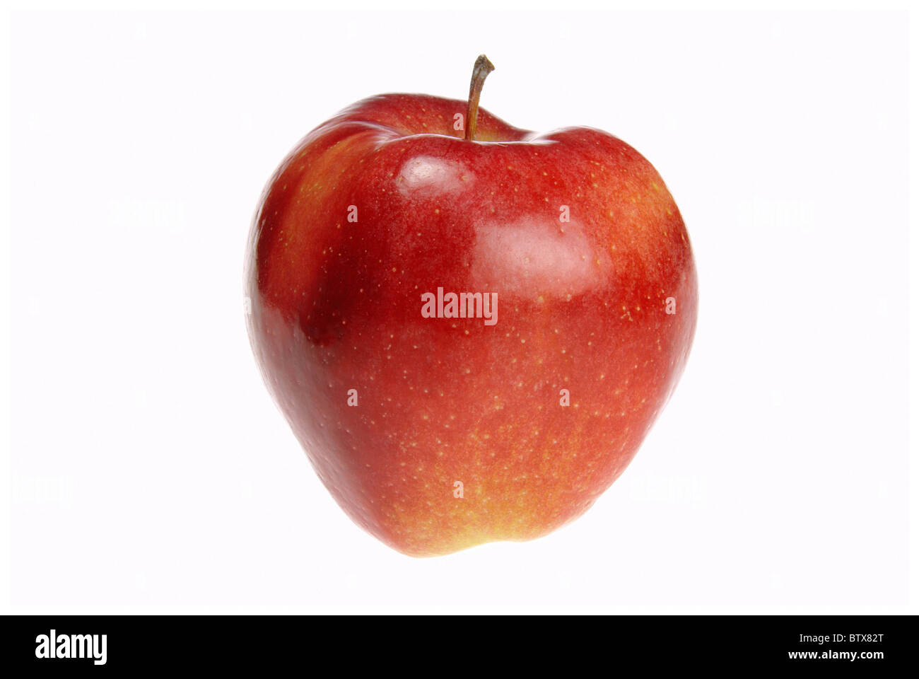 Apfel Gloster freigestellt - apple Gloster isolated 01 Stock Photo