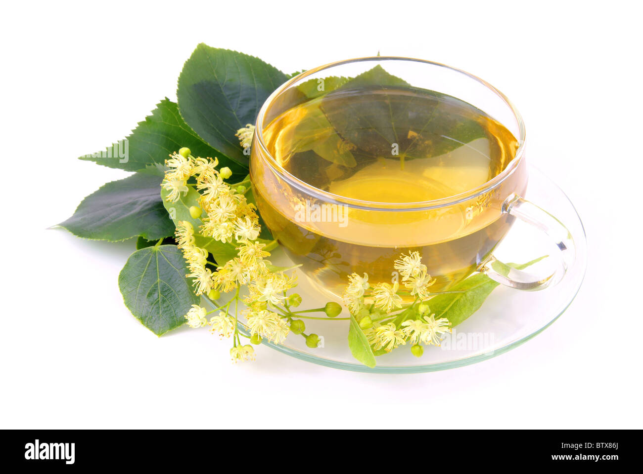 Tee Lindenblüte - tea from lime blossom 01 Stock Photo