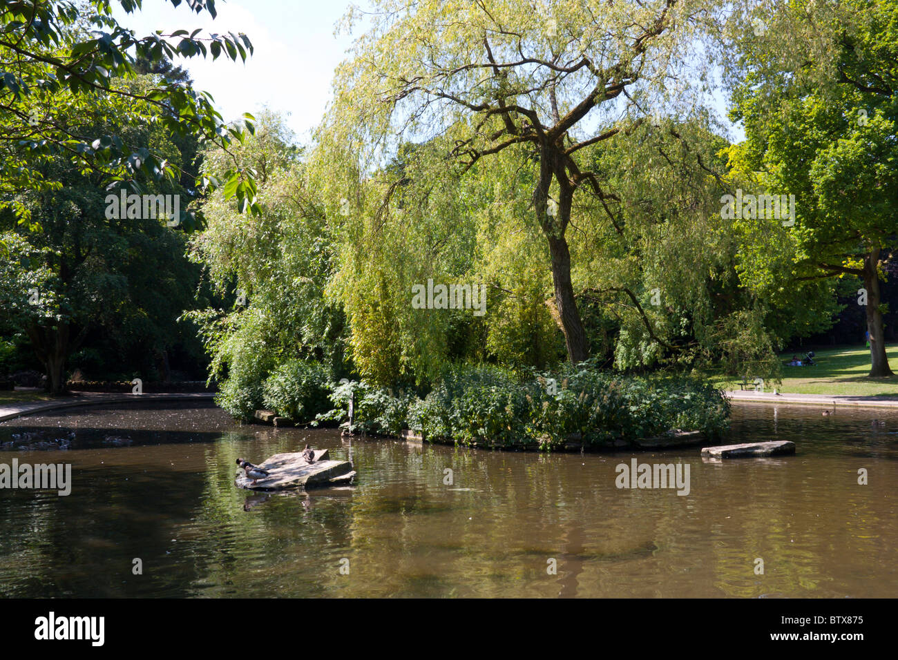 Collett Park Shepton Mallet Somerset England Stock Photo Alamy