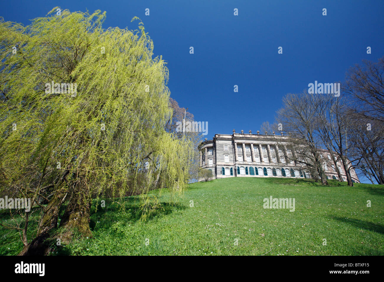 Weeping Willow Tree (salix alba var.) and palace in park, springtime Germany Stock Photo