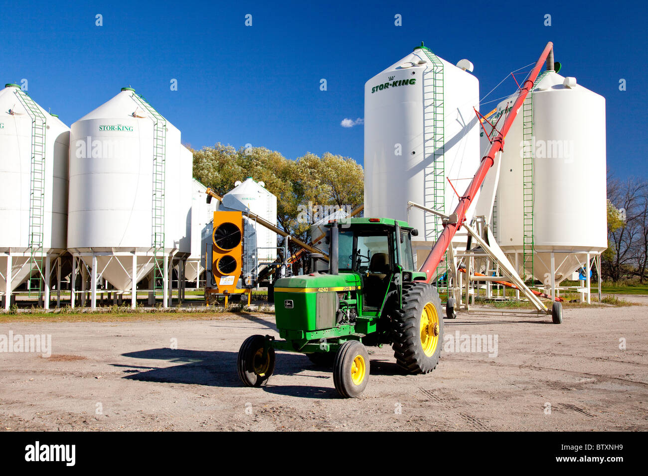 Unloading a truck load of beans into hopper bins on the Froese farm near Winkler, Manitoba