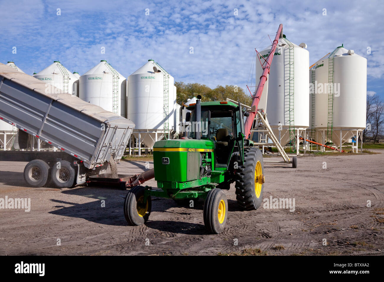 Unloading a truck load of beans into hopper bins on the Froese farm