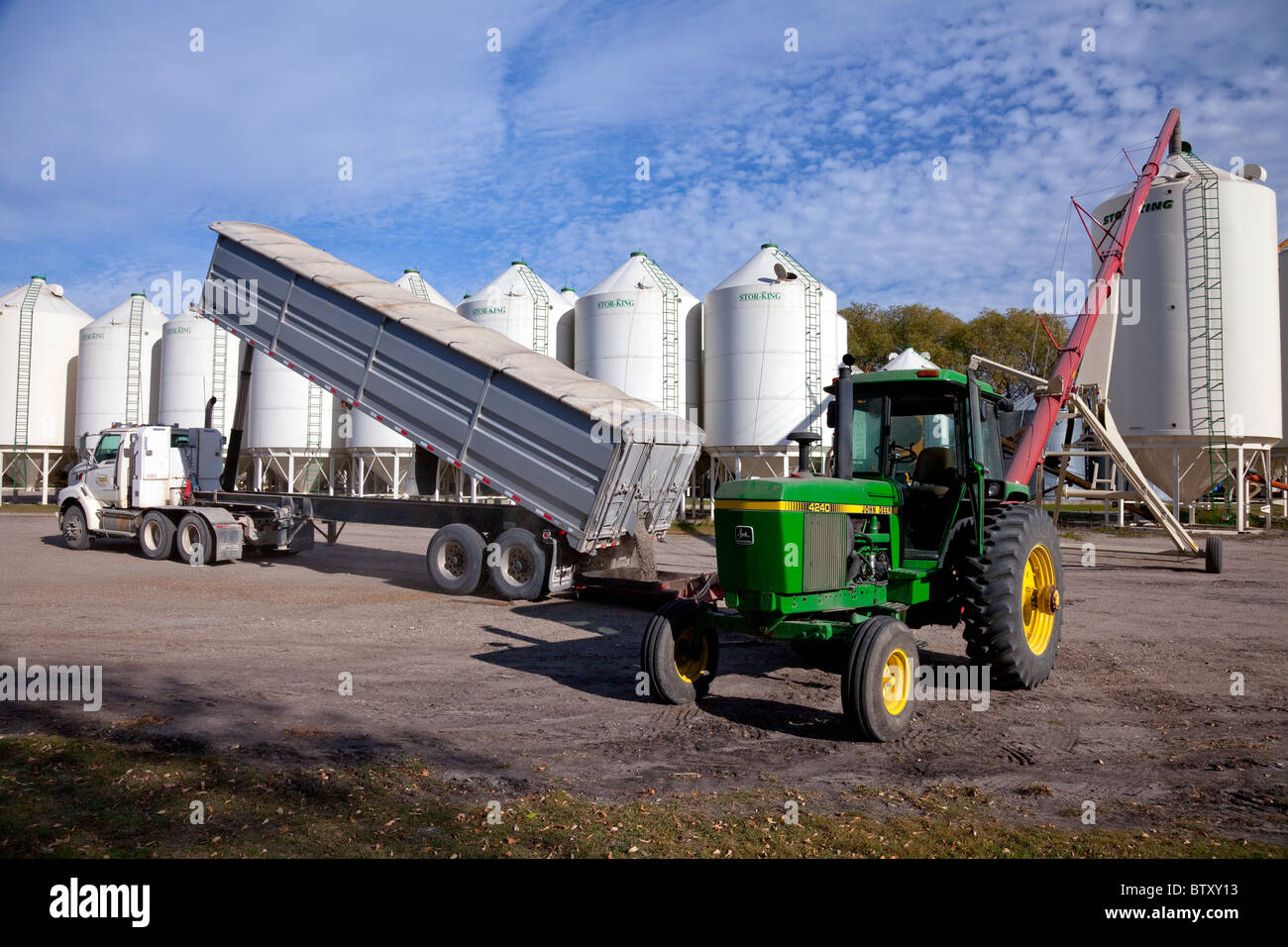 Unloading a truck load of beans into hopper bins on the Froese farm near Winkler, Manitoba