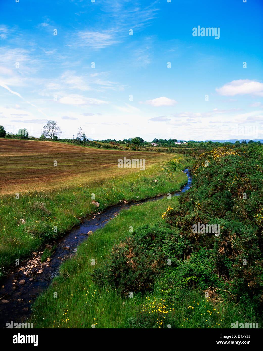Co Mayo, Ireland; Field After Muck Spreading Stock Photo