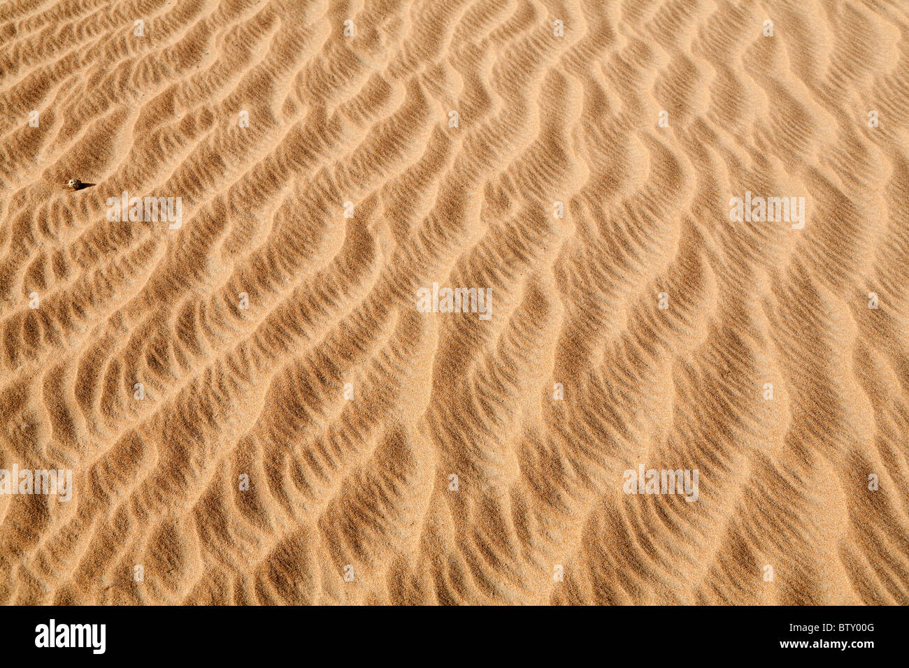 Golden pebble hi-res stock photography and images - Alamy