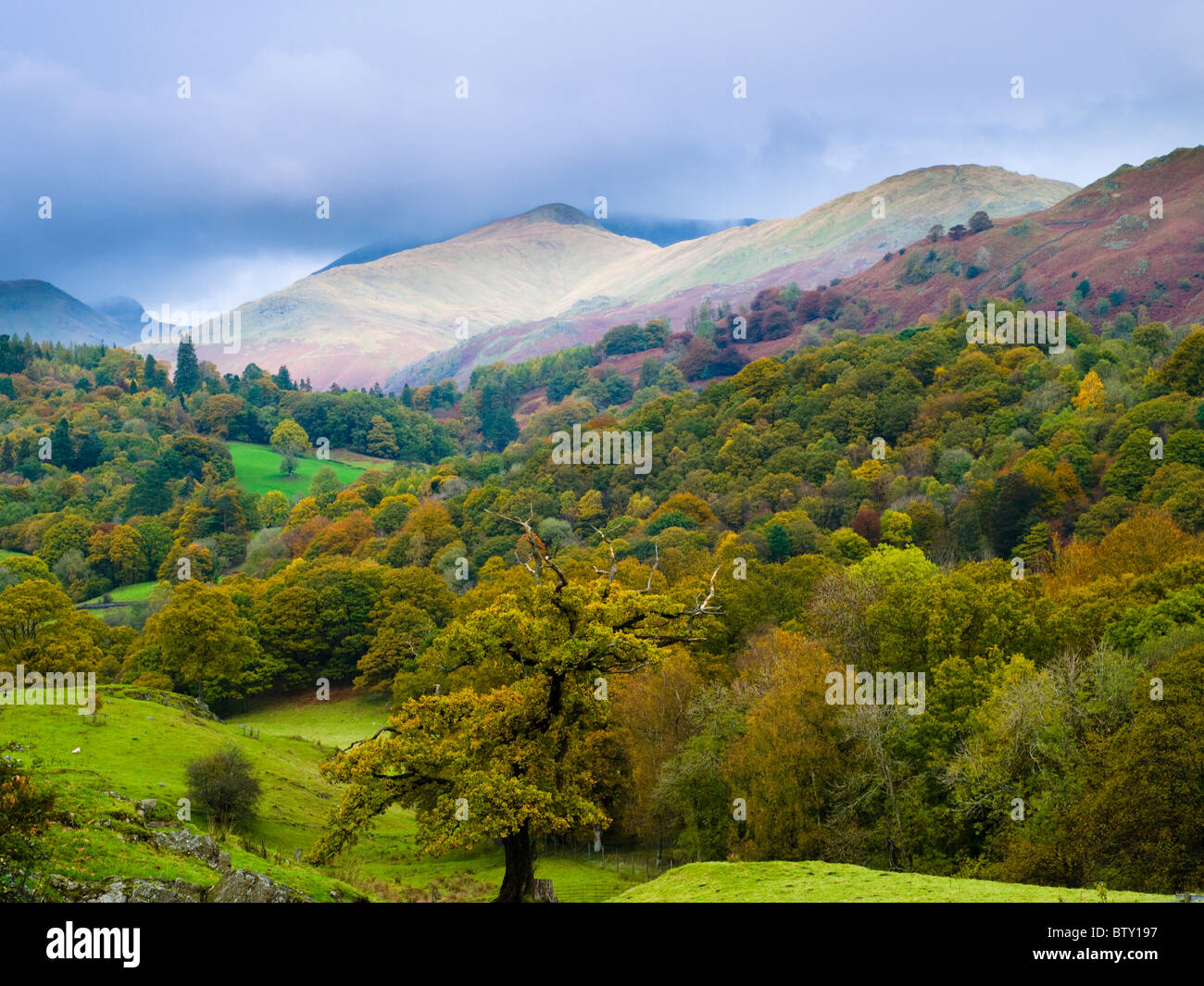 Great Rigg and Heron Pike viewed over the Brathay Valley in the Lake District National Park near Skelwith Bridge, Cumbria, England. Stock Photo