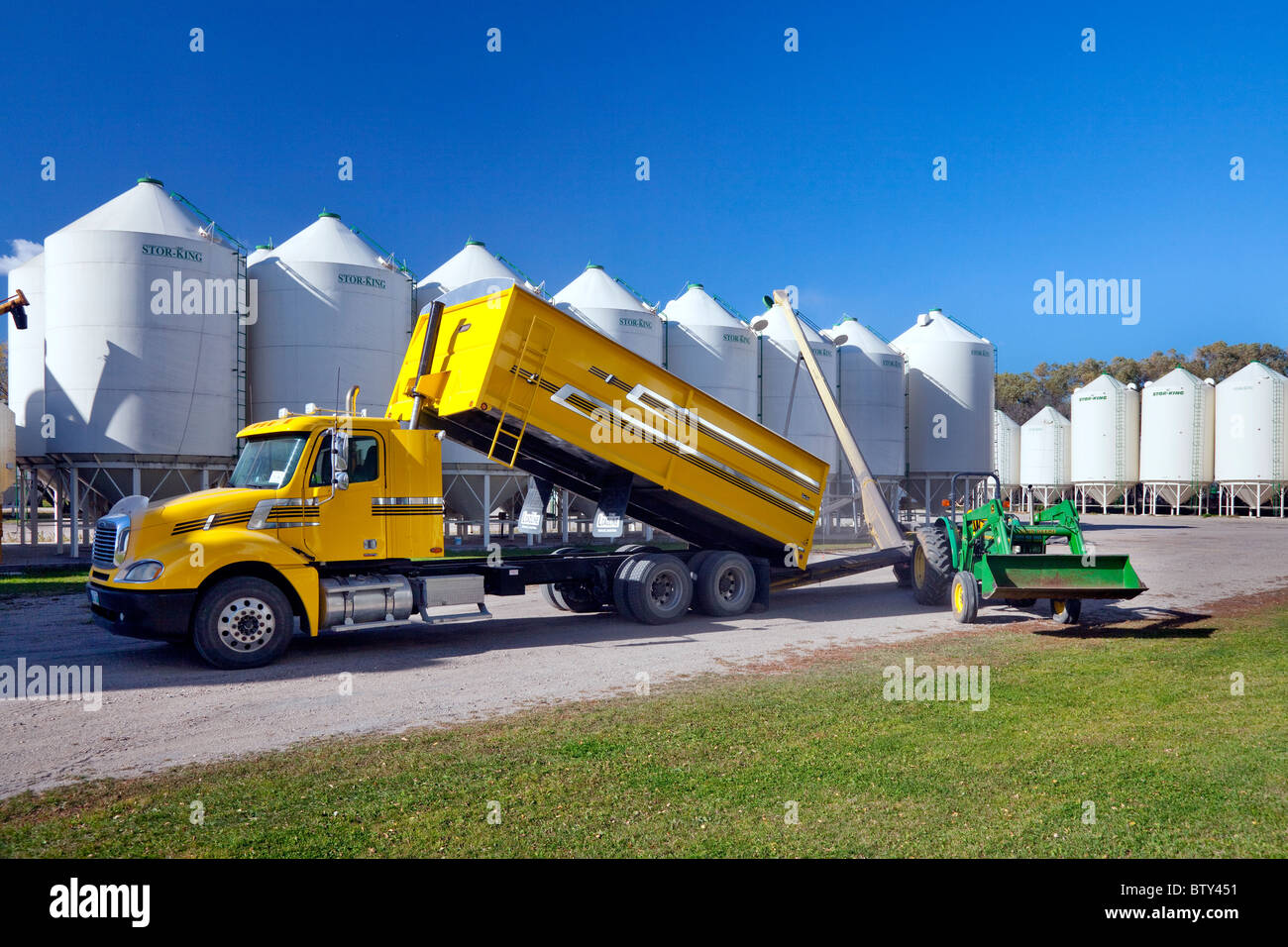 Unloading a truck load of beans into hopper bins on the Froese farm near Winkler, Manitoba