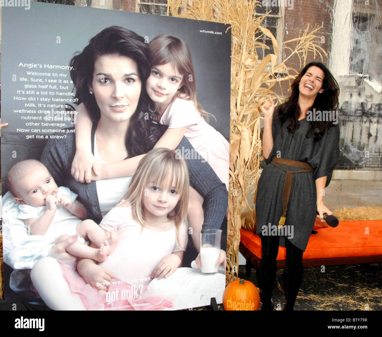Angie Harmon Unveils New Got Milk? Ad Campaign Stock Photo Alamy