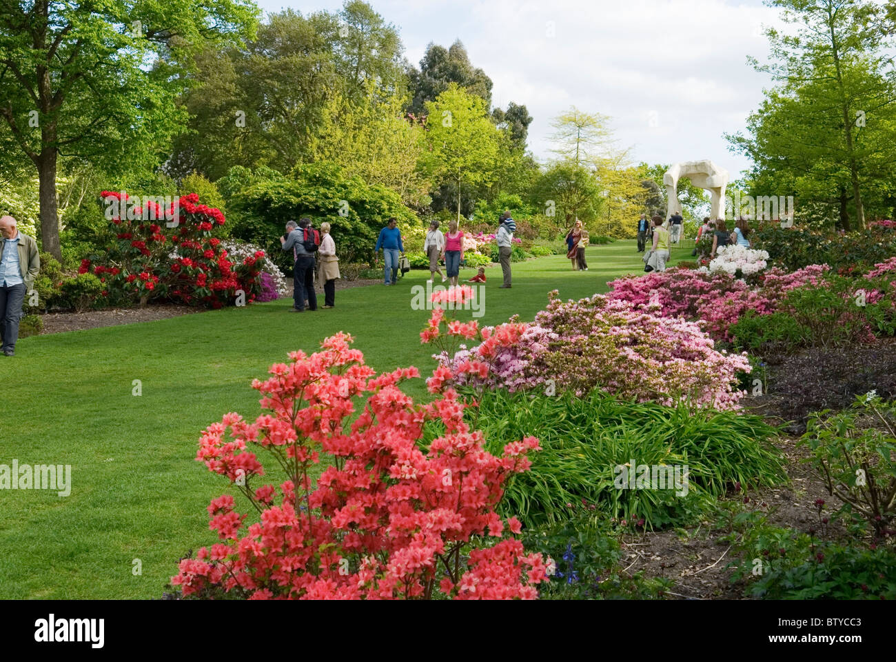VISITORS ADMIRE THE RHODODENDRONS AND AZALEAS ON BATTLESTONE HILL AT THE RHS GARDEN WISLEY Stock Photo