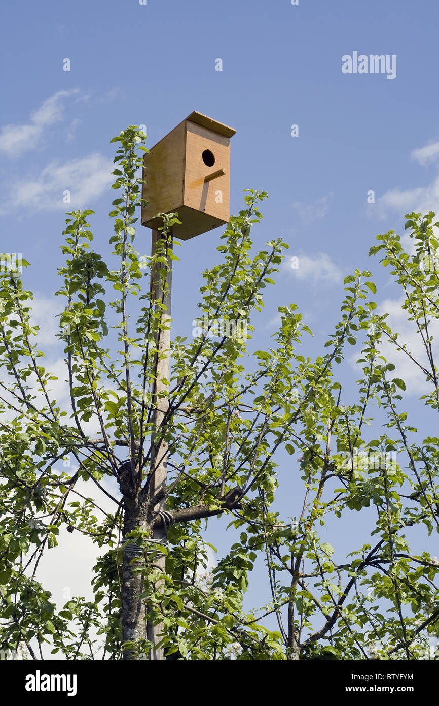 Small house for birds Stock Photo Alamy