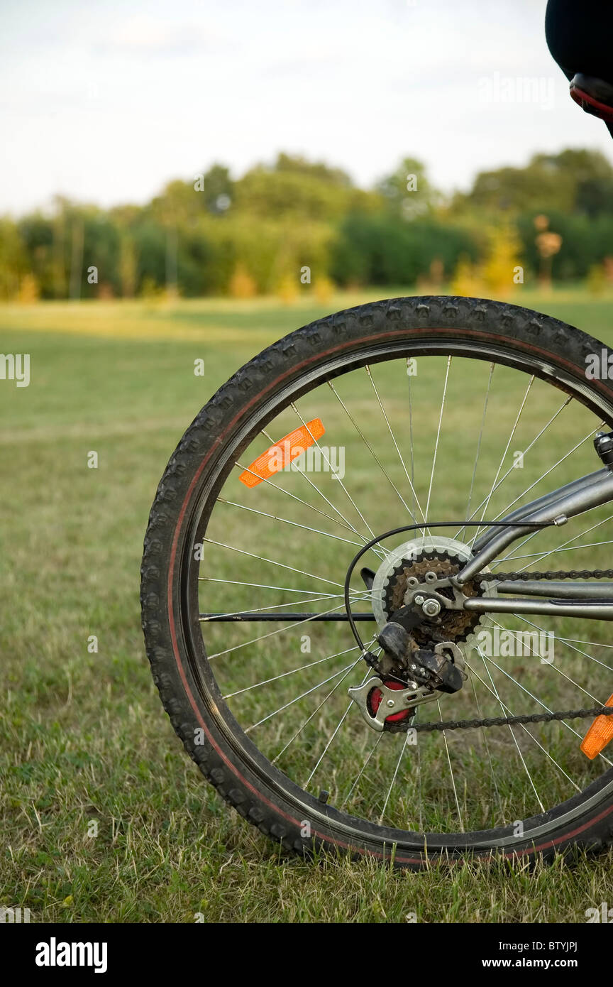 Wheel of bike on nature background, sport concept Stock Photo