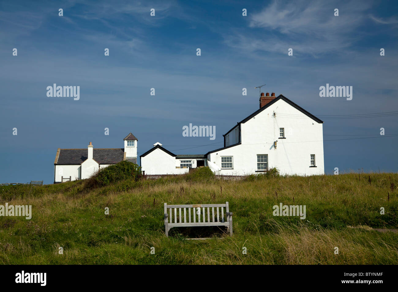 White houses, Seaton Sluice, Tyne and Wear Northumberland Stock Photo