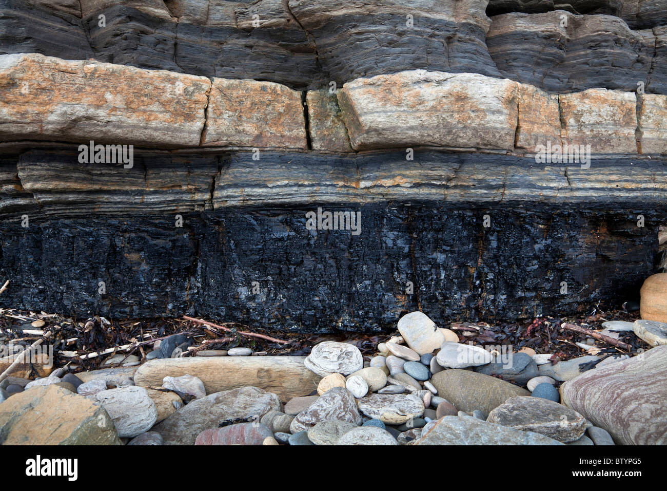Coal deposits on beach cliffs at Seaton Sluice, Tyne and Wear Stock Photo