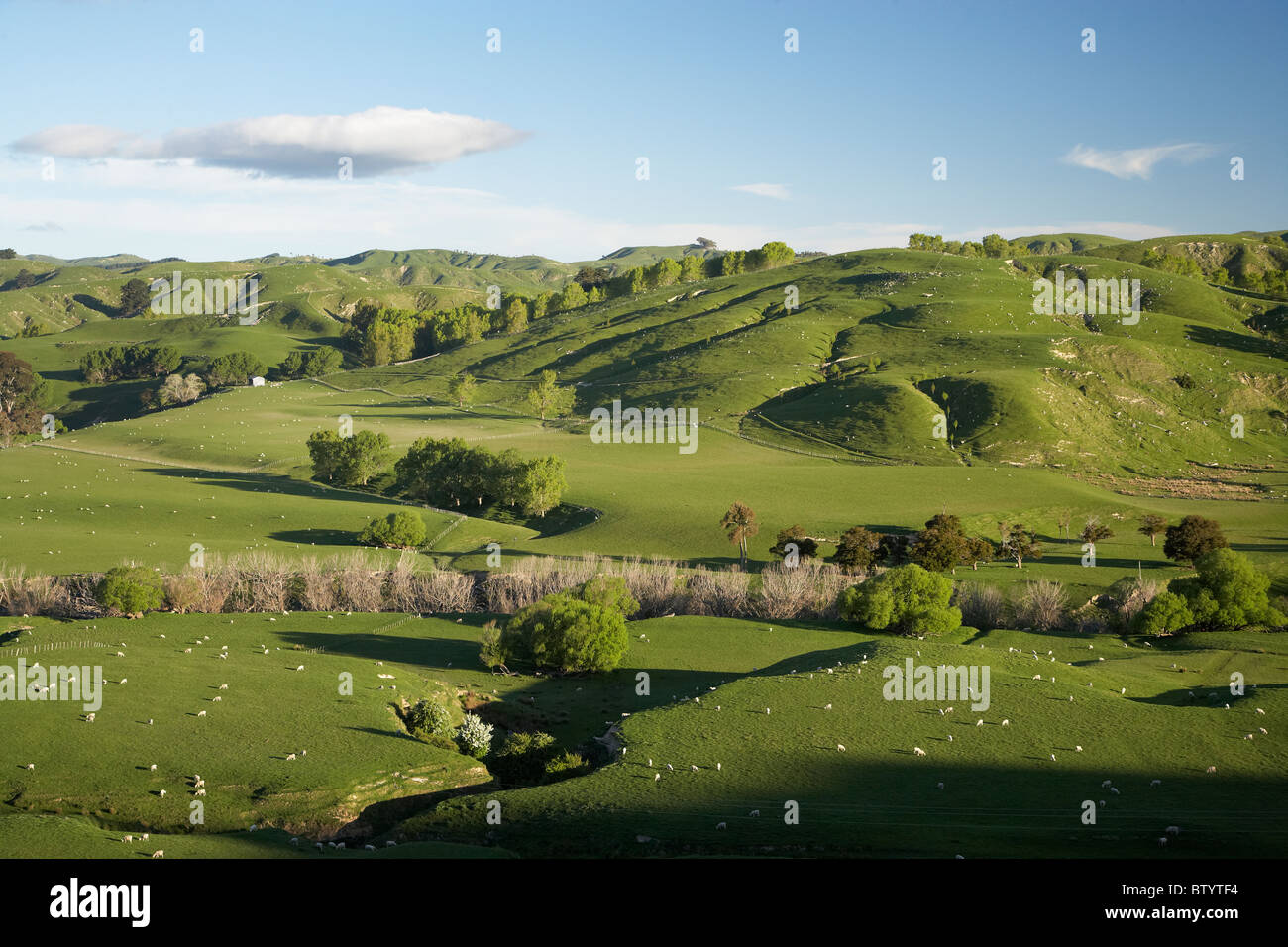 Masterton countryside hi-res stock photography and images - Alamy