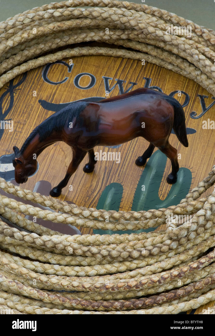 Cowboy sign showing leather lariat rope and toy horse grazing by cactus Stock Photo